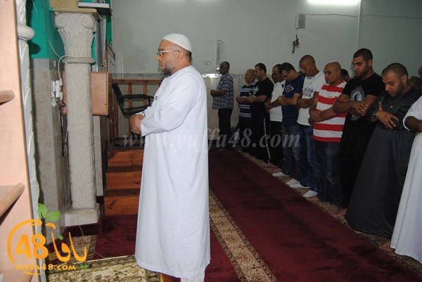 trawe7 zatona (13).JPG